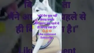 Funny one liner in Hindi 😎🔥 #shortvideo #youtubeshorts #funny #shorrts