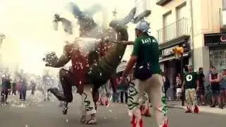 Fira del foc 2014