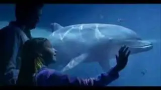 WWF Canada Stop The Net TV Commercial