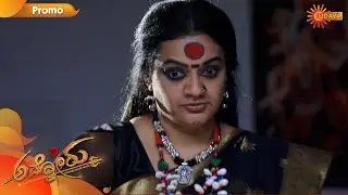 Ammanoru - Promo | 24th February 2020 | Udaya TV Serial | Kannada Serial