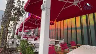 Caf&eacute; Umbrellas