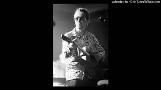 World Party/Karl Wallinger - Martha My Dear (1996 The Beatles Cover)