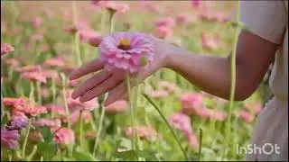 App khud ko kitni bar delete kartay hain||Qur'an and sunnah ||@SakooneQalb-kahan-gk2kg