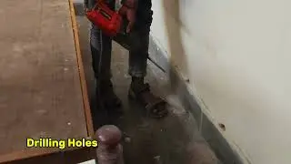 Anti Termite Treatment at Kolar Road, Bhopal | Termite Control | Perfect Pest Control MP