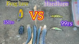 Frog lure VS hardlure beginner snakehead fishing #snakehead