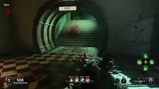 New Blaze Phase perk Alpha Omega