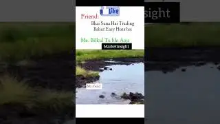 Is It???  koi na daag achhe hai🤣🤣🤣. #marketinsight #shorts #sharemarket #like #viral #youtube