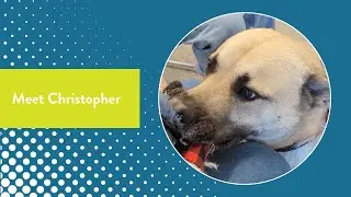 Meet Christopher - Long Time Heidi's Resident