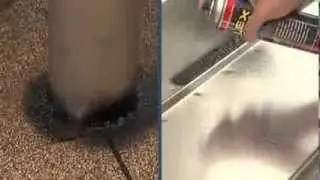 Flex Seal | As Seen On TV