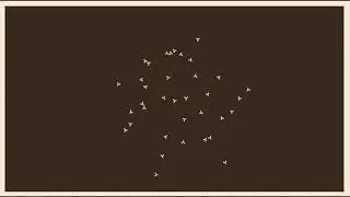Generative Animation