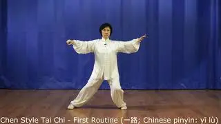 What is Chen Style Tai Chi?