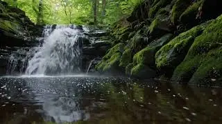 Whisper Your Peace | Christian Worship for Deep Sleep, Anxiety Relief, Insomnia & Peaceful Rest
