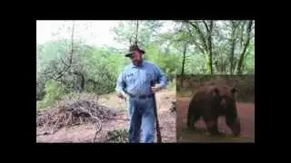 Nuggets of El Dorado County History:  A Grizzly Affair