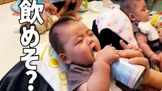 三つ子が液体ミルク（缶）を飲んでみたら…