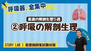 基礎2.呼吸の解剖生理 看護師国家試験対策オンライン講座｜STUDY LAB