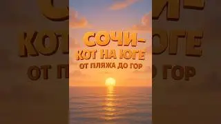 Сочи - Кот на юге