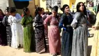 Hakkari halayı - Şexani - Ser&ccedil;opi Tv