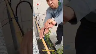 New Bending Fog Irrigation System | New Irrigation Technology #shorts