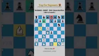 chess puzle. game, teaser, genius, short video catur