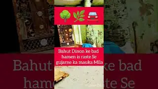 Bappa morya ho Bappa#trending song#viral #song #music #dj #love #dance#shorts#r longdrive
