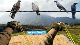Using a Rubber Slingshot to Shoot Down Pigeon &ndash; Crow Pest Control 