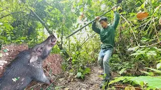 Repair shelter and detect traces of wild boar herd
