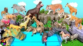 Animals - Lion Tiger Elephant Rhino Zebra Giraffe Quagga - SFR Kids