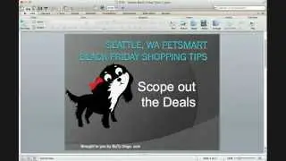 Seattle, WA PetSmart Black Friday Shopping Tips - Scope Out The Deals (1 of 5)