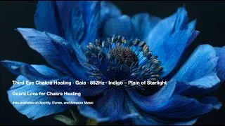 852Hz Third Eye Chakra Healing &middot; 💙🌎 Gaia 💙 Indigo &ndash; Plain of Starlight #Chakra #Healing #852Hz