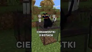 Ciekawostki o KOTACH - porady Minecraft #minecraft