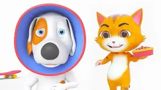 Dog Cone, Comic Cartoon and Comedy Video for Children