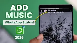 How to Add Music to WhatsApp Status!