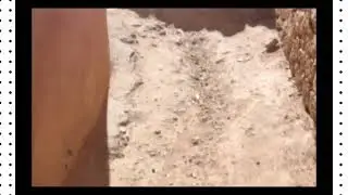 جولة ممتعة في اتجاه واحةأكينان باعتبارها أجمل اللوحات بإقليم طاطا ....