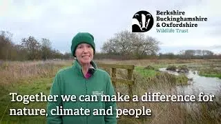 How to vote for climate at 2024 general election
