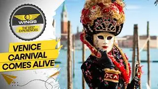 Venice Carnival Lights Up the Grand Canal | Wings S3 EP117 | WION