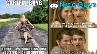 Nice Guys Memes ~ r/NiceGuys