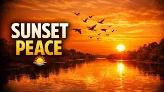&ldquo;Beautiful Sunset Live 🌅 | Peaceful Evening | Birds & River&rdquo;