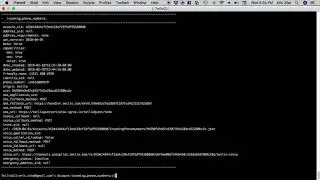 Twilio CLI Demo
