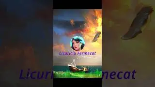 Licuriciu Fermecat - Un nou inceput