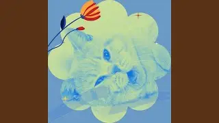 Background for Chilling Cats
