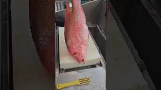 Red Snapper Fish Cutting Skills#shorts