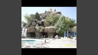 Computer Driven Wildlife Show