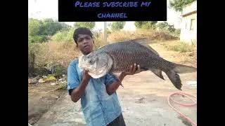 fish|| king size katla fish ☝️☝️☝️🐳🐳👌👌👌