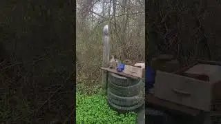 at the old Long house. Was it aliens or crackheads?