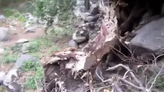 Stop Almost Falling Off Cliffs (Urban Fist)