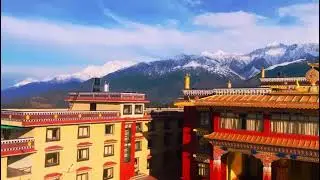 Palpung sherabling monastery Himachal Pradesh