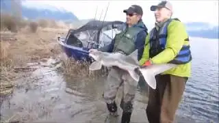 Sturgeon Fishing in Winter in Vancouver, British Columbia