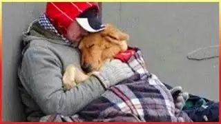 35 Acts of Kindness to Animals That Will Make You Cry ❤
