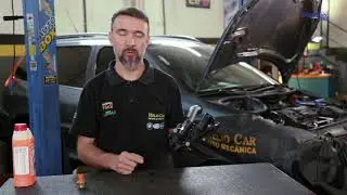 Saiba tudo sobre o cebol&atilde;o I Mec&acirc;nica F&aacute;cil