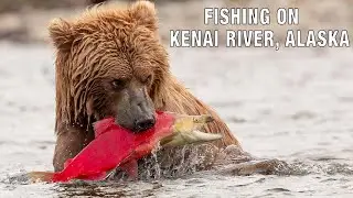 &ldquo;Salmon Fishing on the Kenai River, Alaska | Epic Day Catching King & Sockeye Salmon!&rdquo;